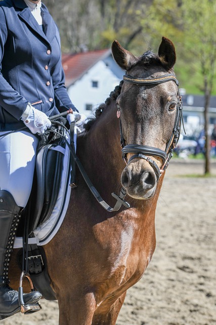 点球顺序的 点球顺序的