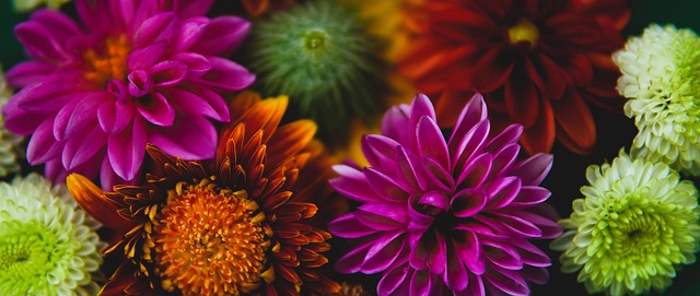 第二轮比赛 第二轮比赛