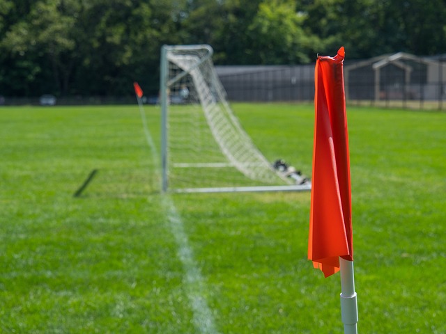 轻球员培养 轻球员培养