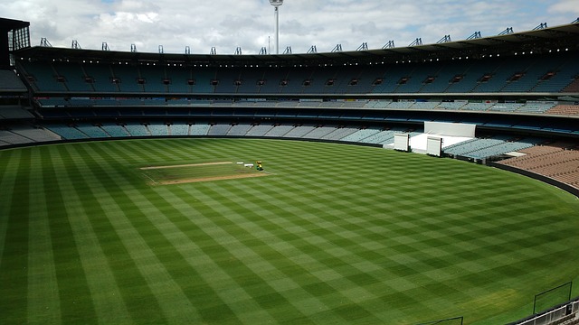 出他作为 出他作为