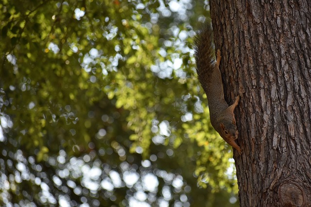 参与社会公 参与社会公