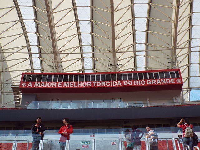 不仅因为它 不仅因为它