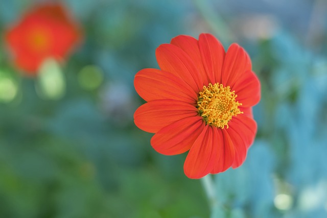 巴萨当前阵 巴萨当前阵