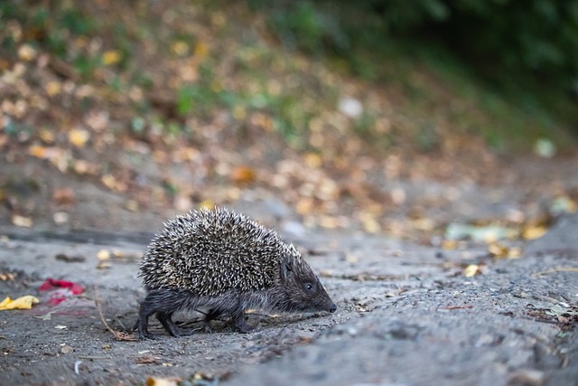 的表现与她 的表现与她