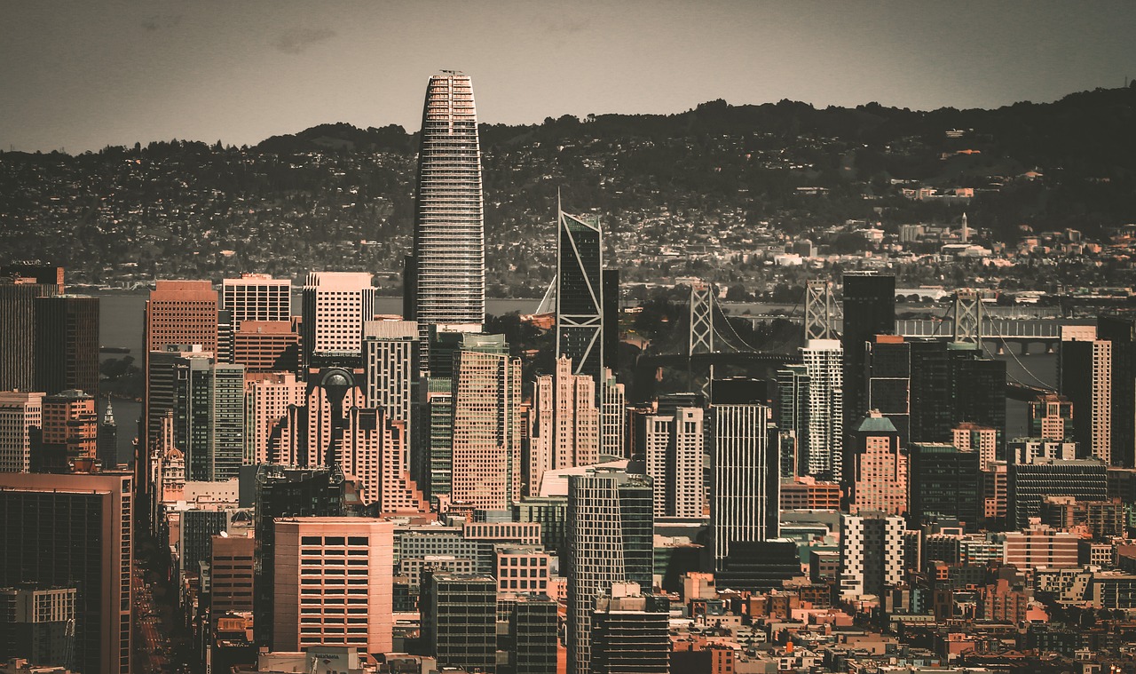 他不仅胜任 他不仅胜任